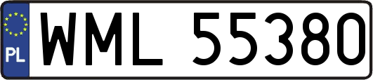 WML55380
