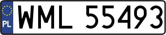 WML55493