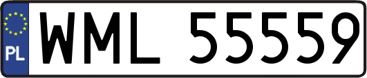WML55559