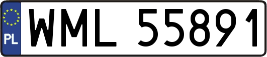 WML55891