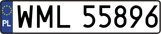 WML55896