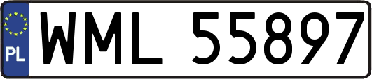 WML55897