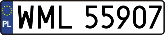 WML55907
