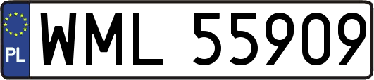WML55909