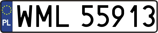 WML55913