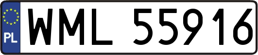 WML55916