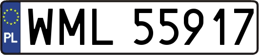 WML55917
