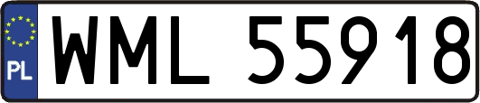 WML55918