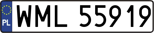 WML55919