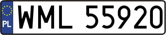 WML55920