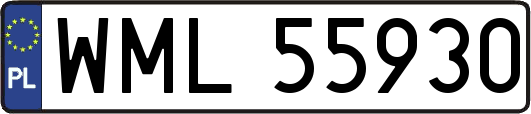 WML55930