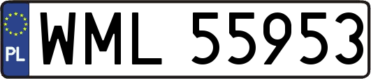WML55953