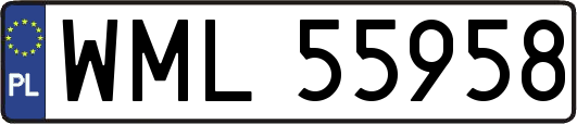 WML55958