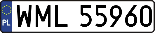 WML55960