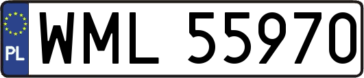 WML55970