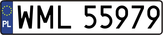 WML55979