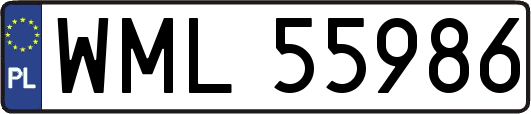 WML55986