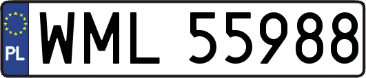 WML55988