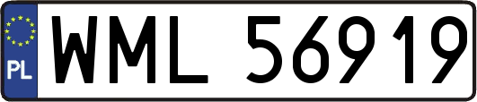 WML56919