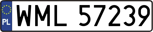 WML57239