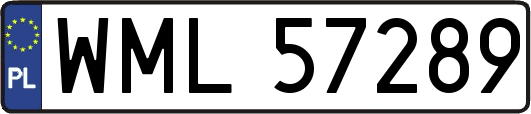 WML57289