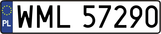 WML57290