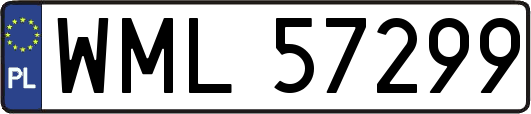 WML57299