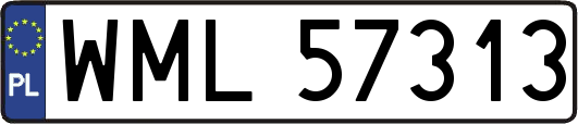 WML57313
