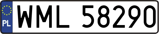 WML58290