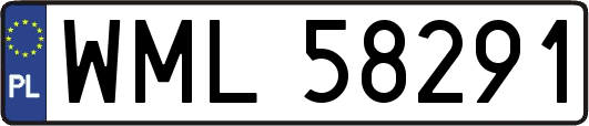 WML58291