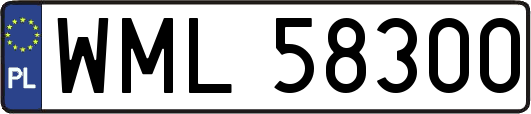 WML58300