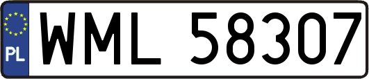 WML58307
