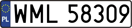 WML58309