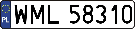 WML58310