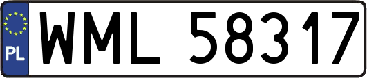 WML58317