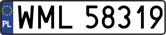 WML58319