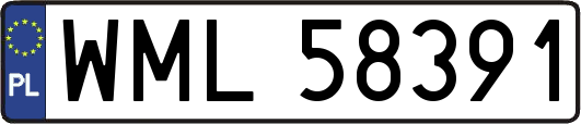 WML58391