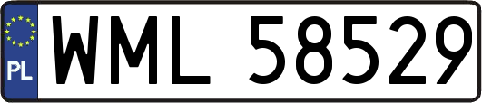 WML58529