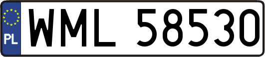 WML58530