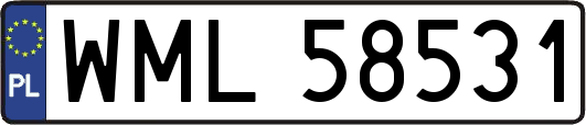 WML58531