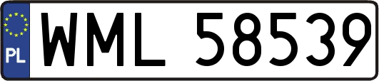 WML58539