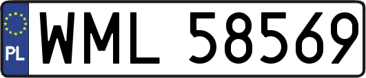 WML58569