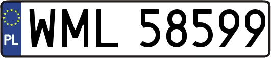 WML58599