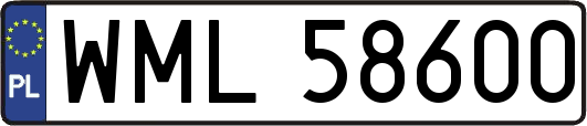 WML58600