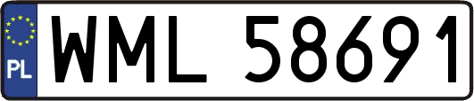 WML58691