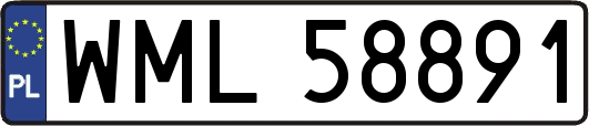 WML58891