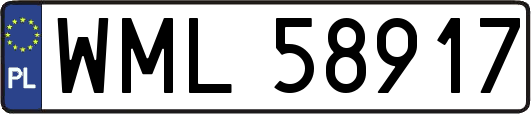 WML58917