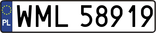 WML58919