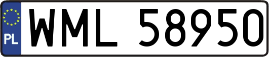 WML58950