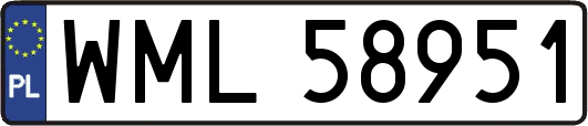WML58951